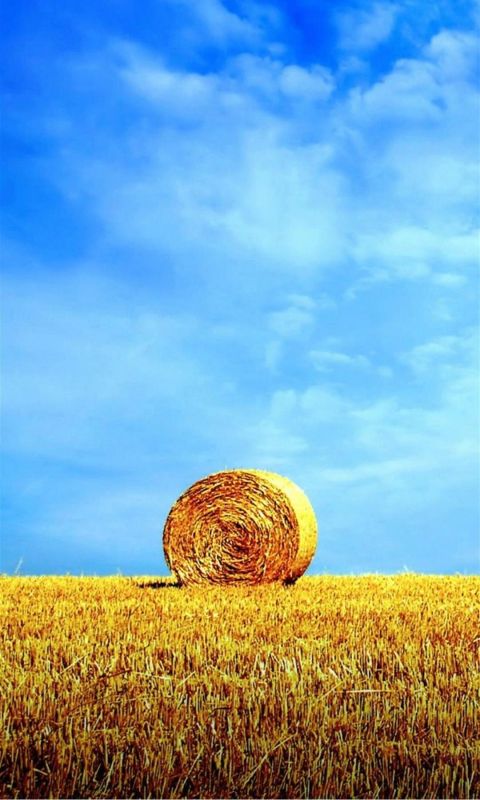 Z Wallpaper Full Hd      X      Smartphone Bale Of Hay
