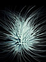 Abstract Tentacle    X