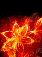 Abstract Fire Flaming Black Background Fire Flower     X