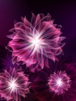 Abstract Flowers    X