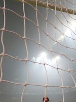 Soccer Sports     X