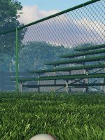 Baseball     X