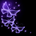 Neon Butterflies Abstract