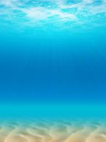 Beautiful Beach Iphone   Wallpaper Ilikewallpaper Com