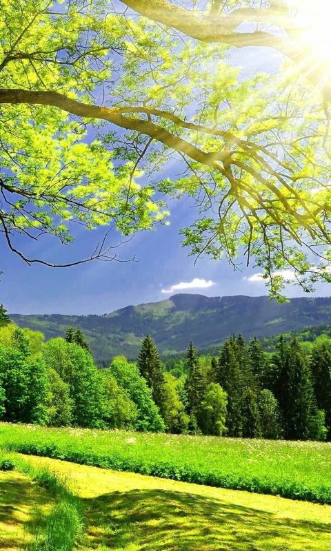 Green Mountains Nature Mobile Wallpaper