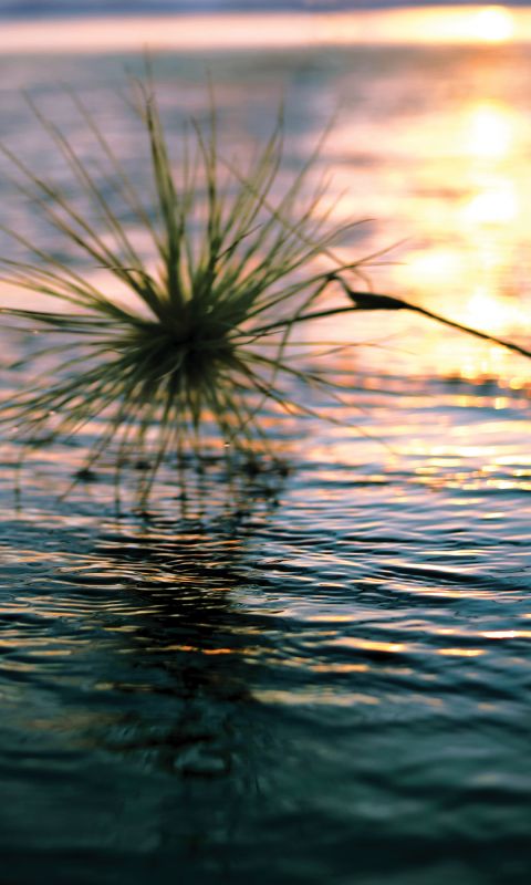 New Amber Lock Screen Wallpaper From Xperia Z        A      Firmware Update