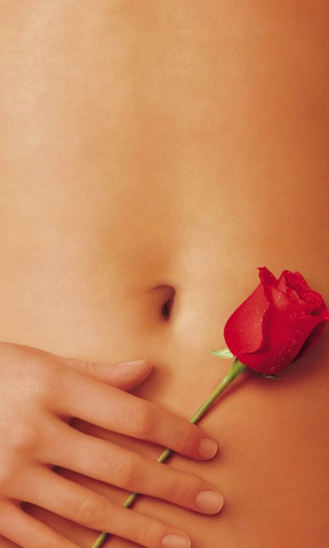 American Beauty Movie Mobile Wallpaper     X