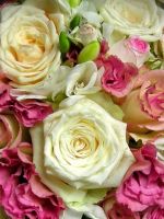 Roses Flowers Bouquet Decoration Beautiful           X