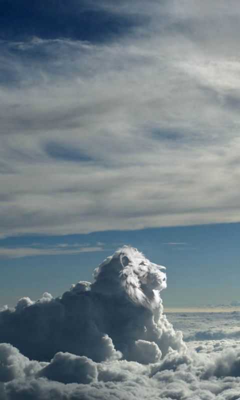 Wallpaper Phone