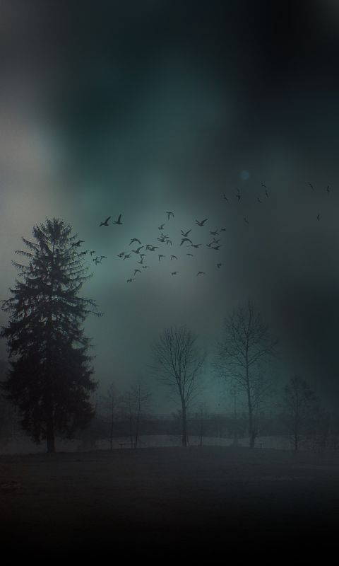 Android Lock Screen Wallpaper