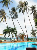 Tropical Resort Palm Trees Beautiful           X