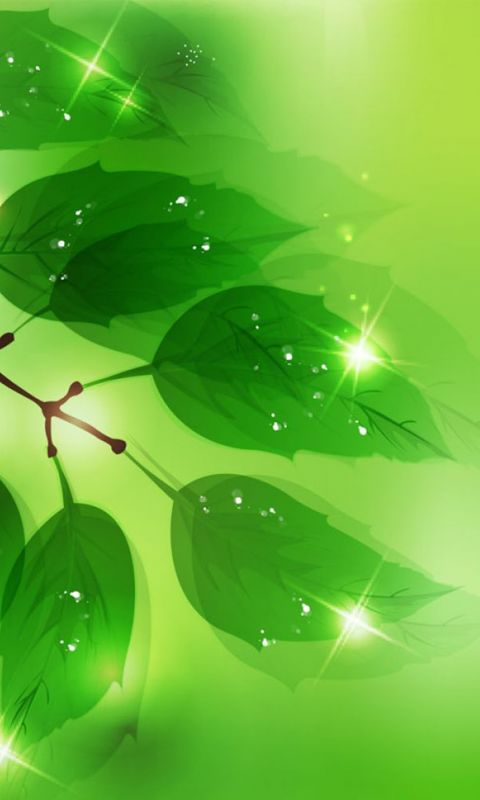 Hd Wallpapers Green Leaves Vector Desktop Wallpaper Plant     X    Wallpaper