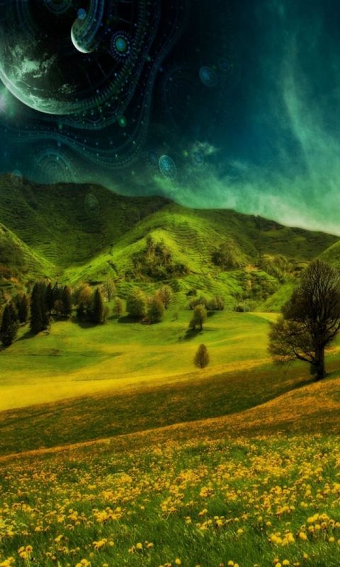 Hill Nature Wallpaper