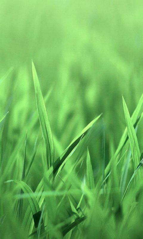 Samsung Galaxy S  Wallpapers
