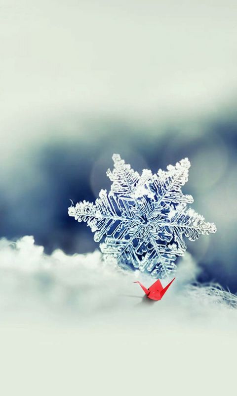 Snowflake Closeup IPhone   Plus Wallpaper Ilikewallpaper Com