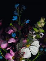 Beautiful Flower