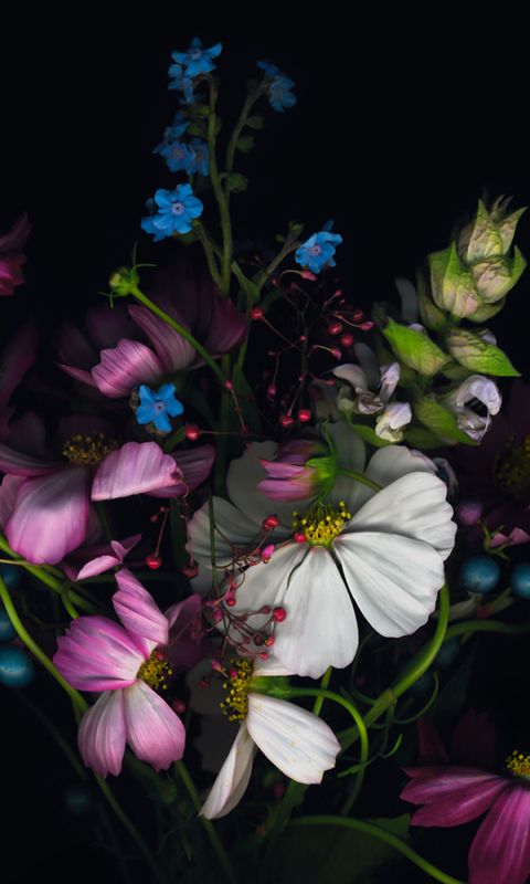 Beautiful Flower