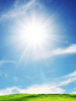 Sunshine And Grass IPhone   Plus Wallpaper Ilikewallpaper Com
