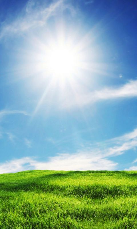 Sunshine And Grass IPhone   Plus Wallpaper Ilikewallpaper Com