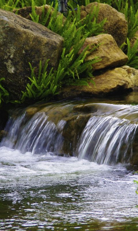 Beautiful Nature