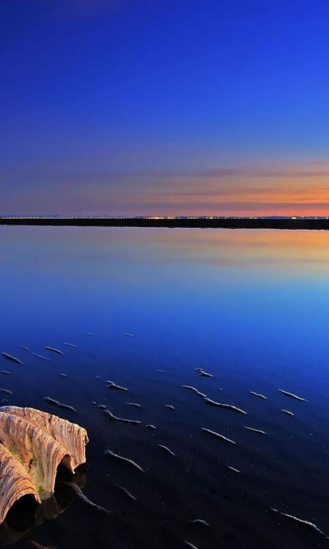 Beautiful Beach Sunset