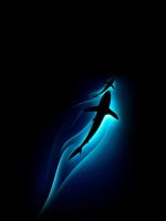 shark