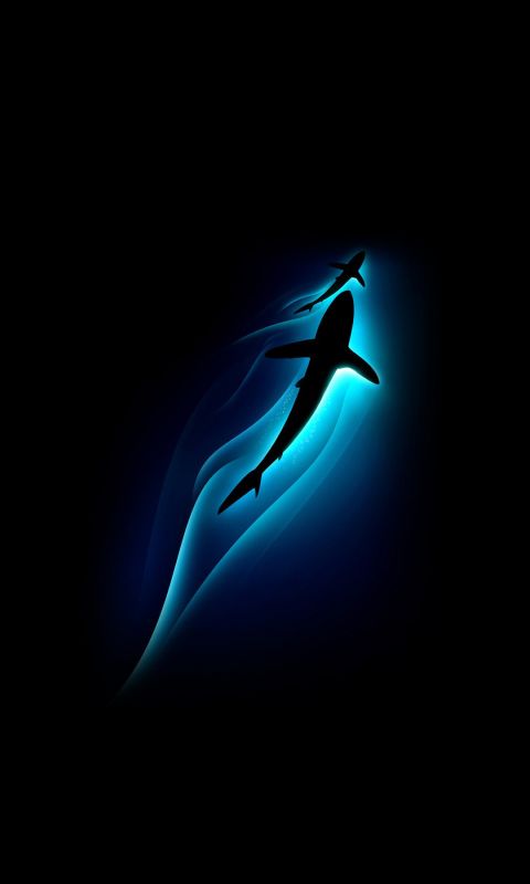 shark