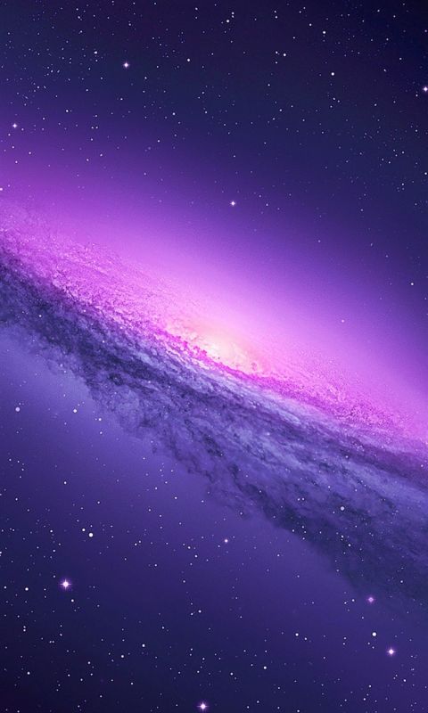 Beautiful violet