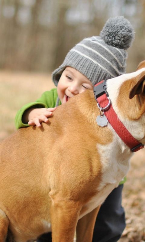 Pretty Sweet Puppys Cute Beautiful Lovely Dogs Puppy Animal Animals             X