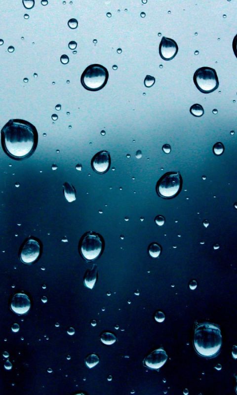 Free Beautiful Hd Iphone  S Wallpapers Ppt Bird I Saw I  Xokm Un Miyf Qow M  I