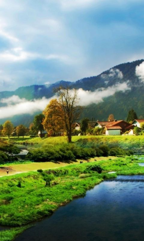 Calm Village Beautiful            X