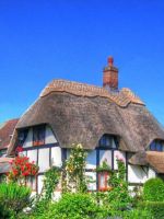 Beautiful House Picture            X