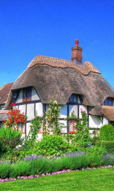 Beautiful House Picture            X