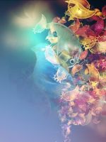 Birds  Flowers Abstract Wallpapers           X