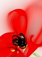 Graphics Poppies Flowers White Background Abstract           X