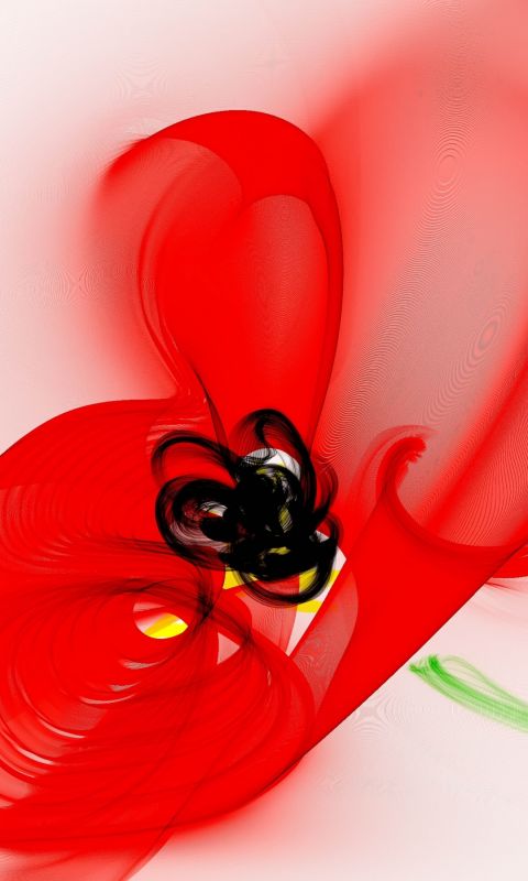 Graphics Poppies Flowers White Background Abstract           X