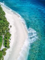 beach and ocean during day wallpaper