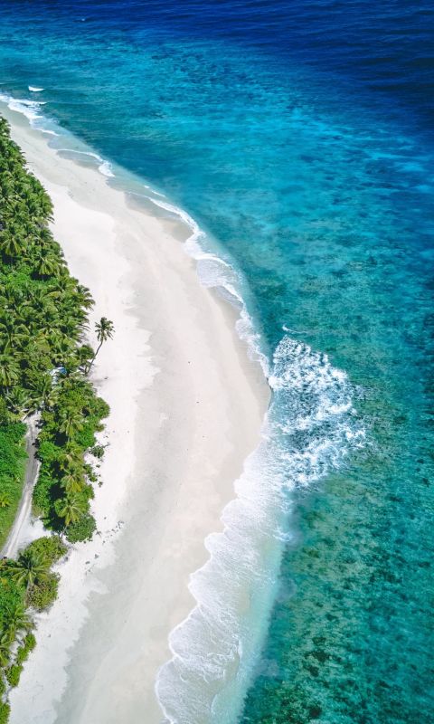 beach and ocean during day wallpaper