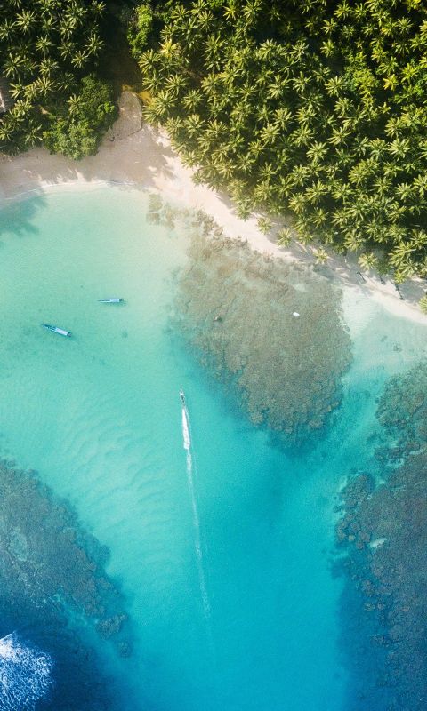 Beach sea summer wallpaper