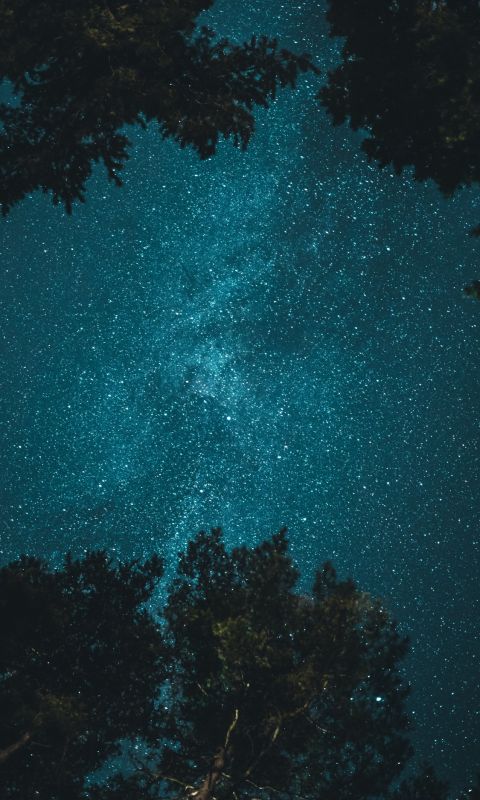 starry night wallpaper