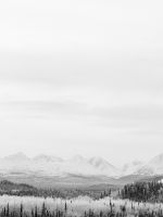Winter Mountain Wood Nature Snow Bw wallpaper