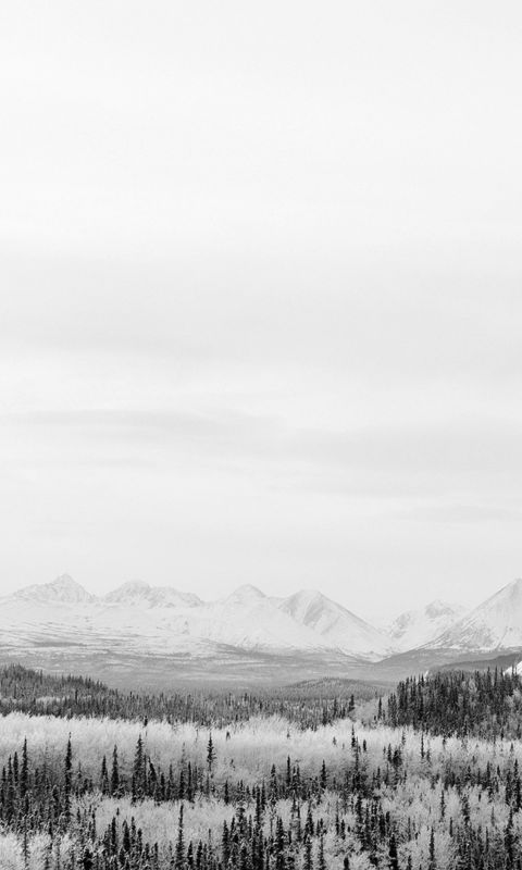 Winter Mountain Wood Nature Snow Bw wallpaper