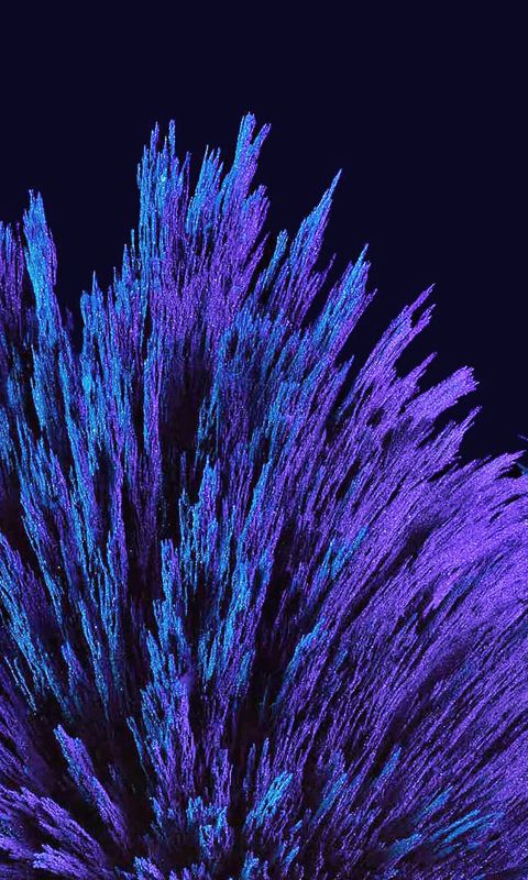 Dark blue flower pattern wallpaper