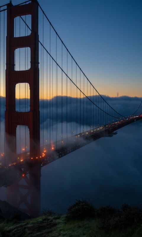 Golden Gate bridge at nighttime wallpaper