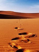 Nature Sunlight Bright Desert Landscape wallpaper