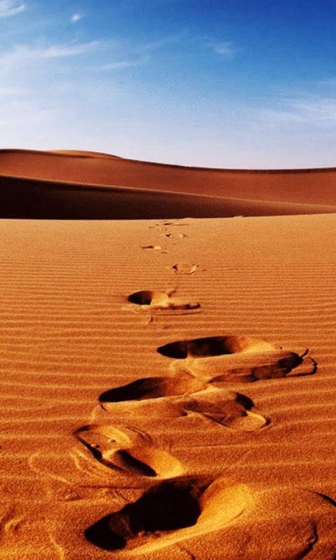Nature Sunlight Bright Desert Landscape wallpaper