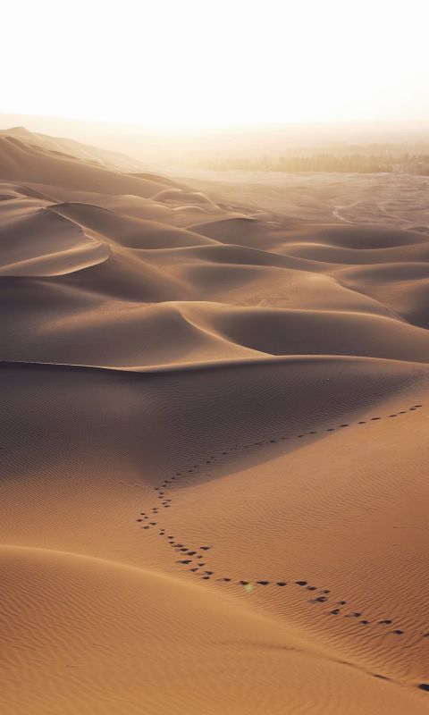 aerial photo of brown desert wallpaper