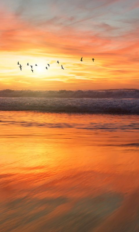 iPhone wallpaper