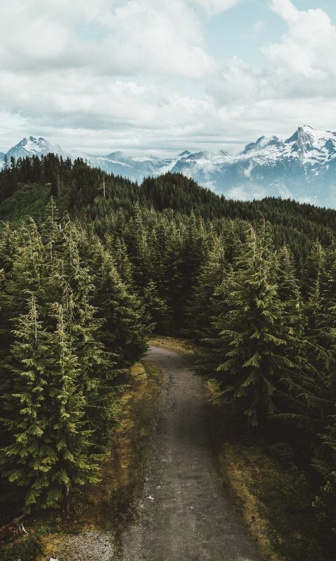 gray asphalt road between green leafed trees under... wallpaper