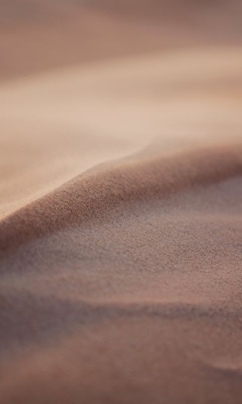 Your first guess might have been a desert the seco... wallpaper